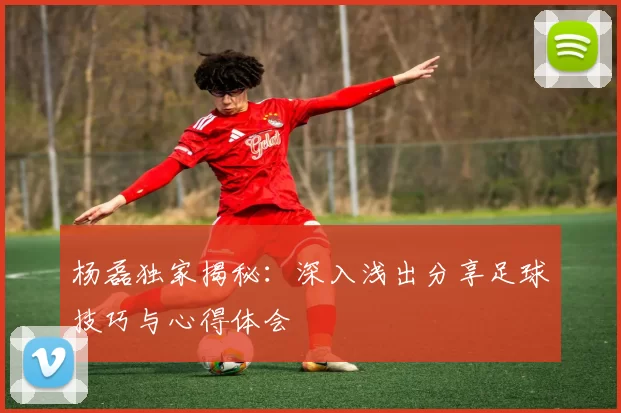 杨磊独家揭秘：深入浅出分享足球技巧与心得体会