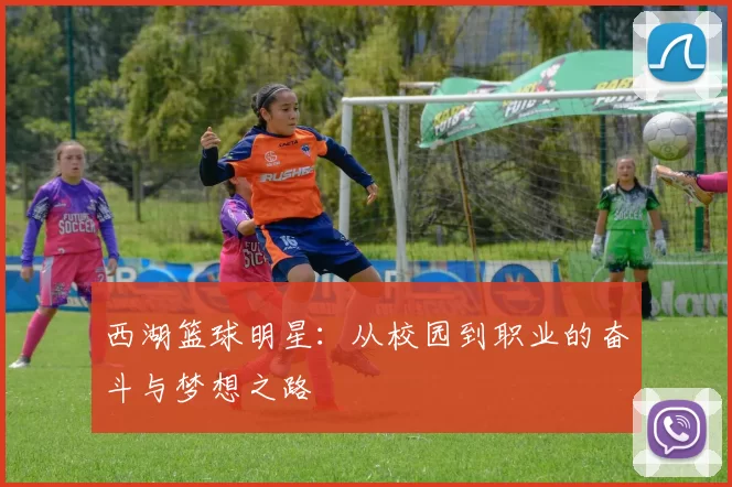 西湖篮球明星：从校园到职业的奋斗与梦想之路