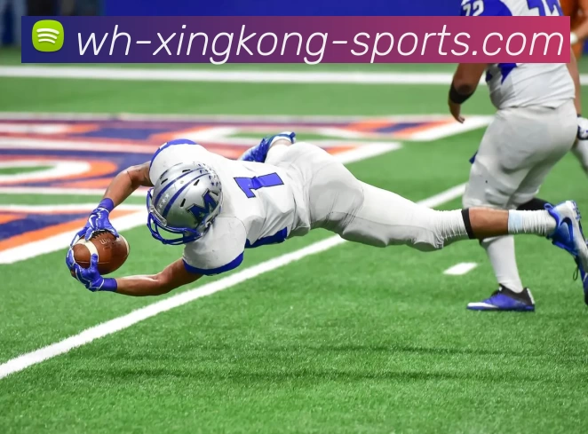 App Interface Preview