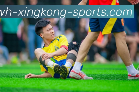 多媒体互动体验