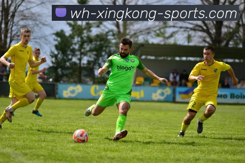 星空官网APP 封面图